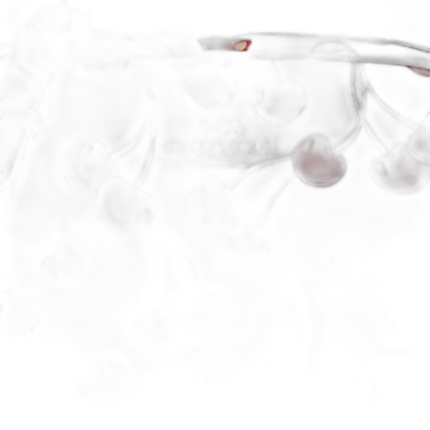 CZ189 SVCAH