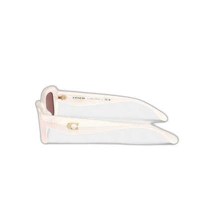 CR610 DS9