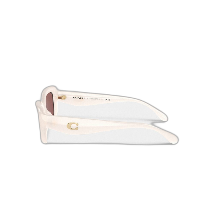 CR610 DS9