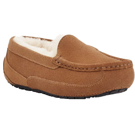 UGG Big Kid's Ascot Chestnut Suede