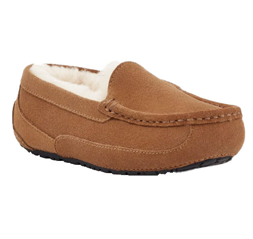 UGG Big Kid's Ascot Chestnut Suede