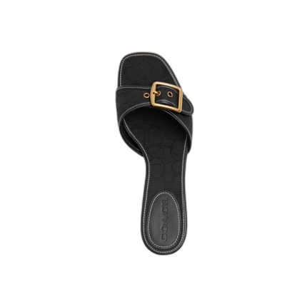 CAX17 BLK