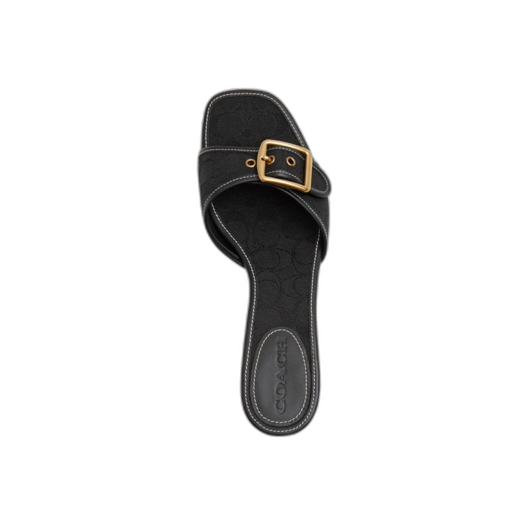 CAX17 BLK