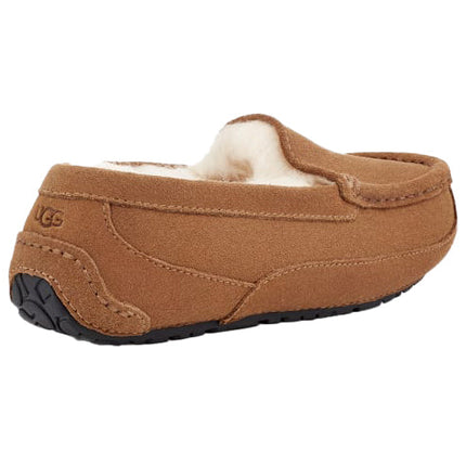 UGG Big Kid's Ascot Chestnut Suede