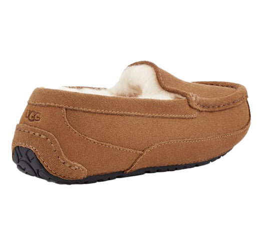 UGG Big Kid's Ascot Chestnut Suede