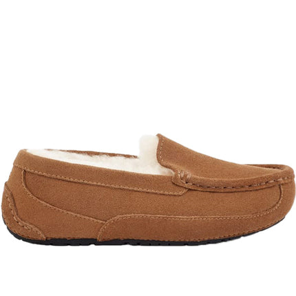 UGG Big Kid's Ascot Chestnut Suede