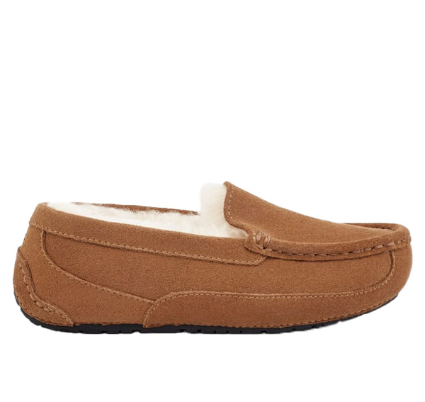 UGG Big Kid's Ascot Chestnut Suede