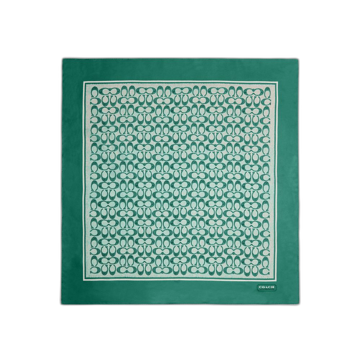 C2755 IVY