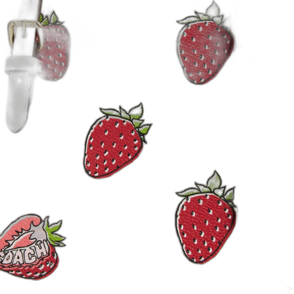 CAL66 IMCAH