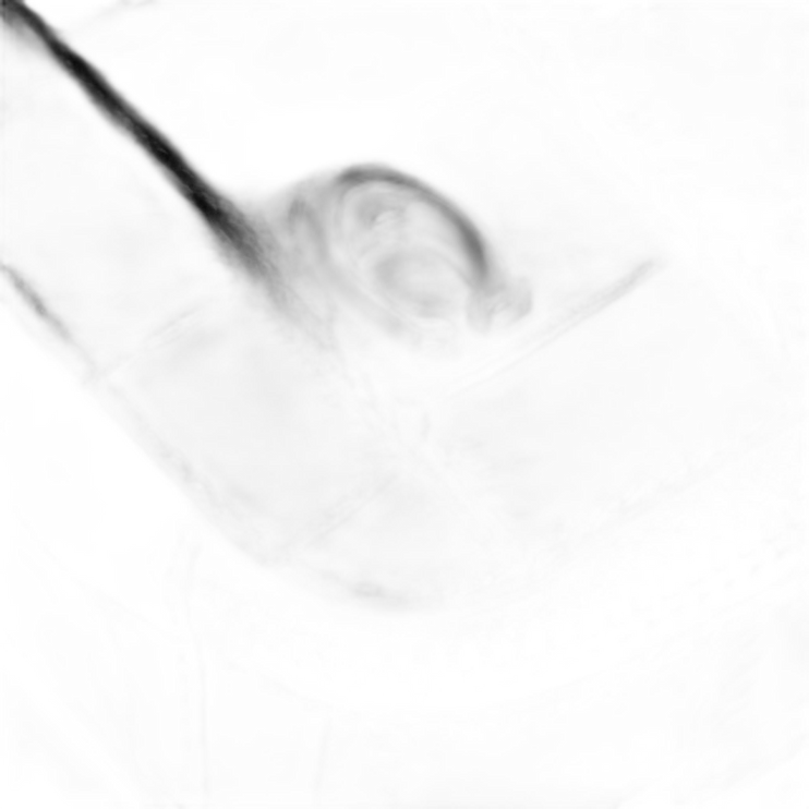 CW431 BLK