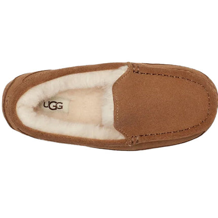 UGG Big Kid's Ascot Chestnut Suede