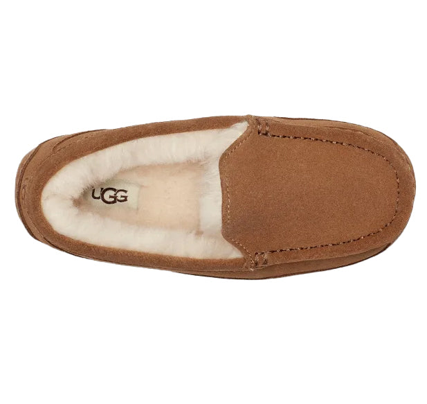 UGG Big Kid's Ascot Chestnut Suede