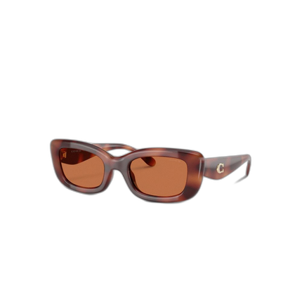CR610 DTT