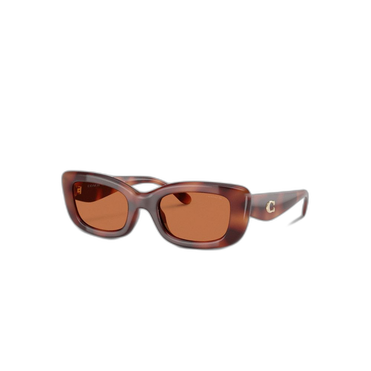 CR610 DTT