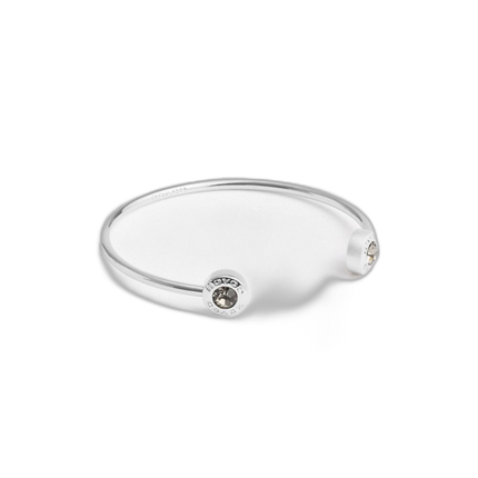 CT037 SLV