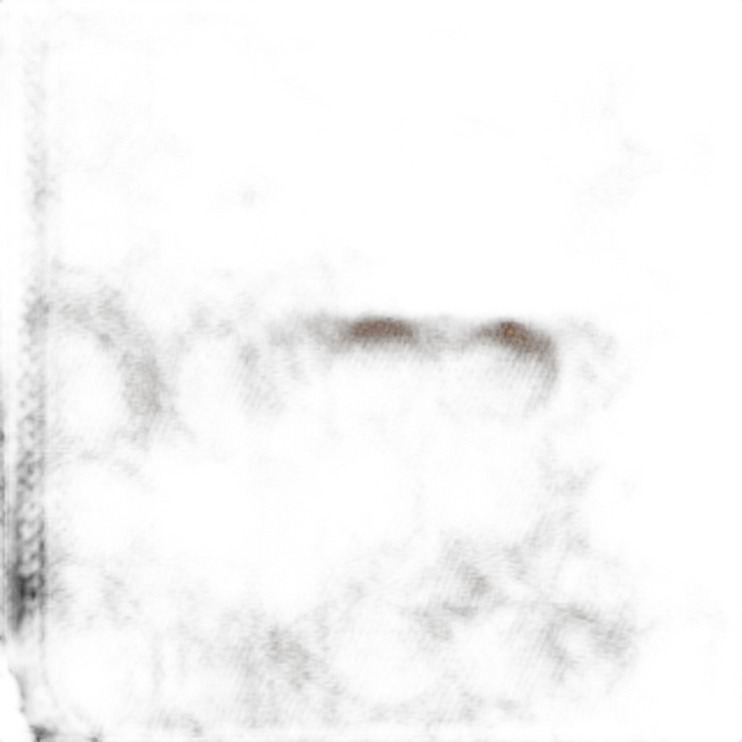 CZ397 QBNRX