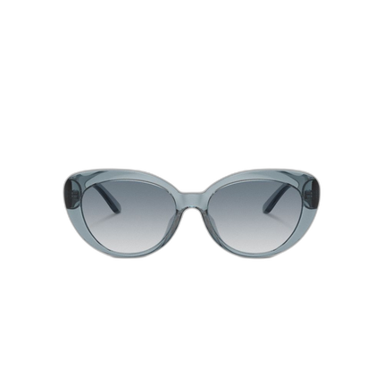 CL908 TM4