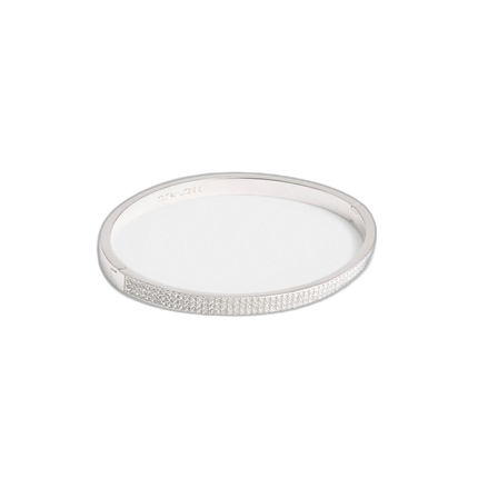 CT178 SLV