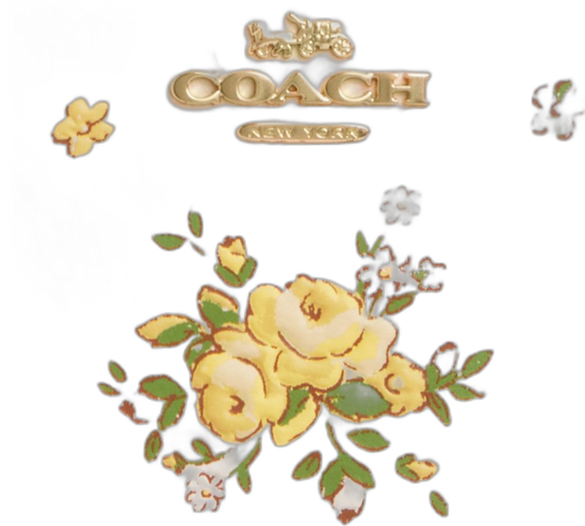 CAO89 IMCAH