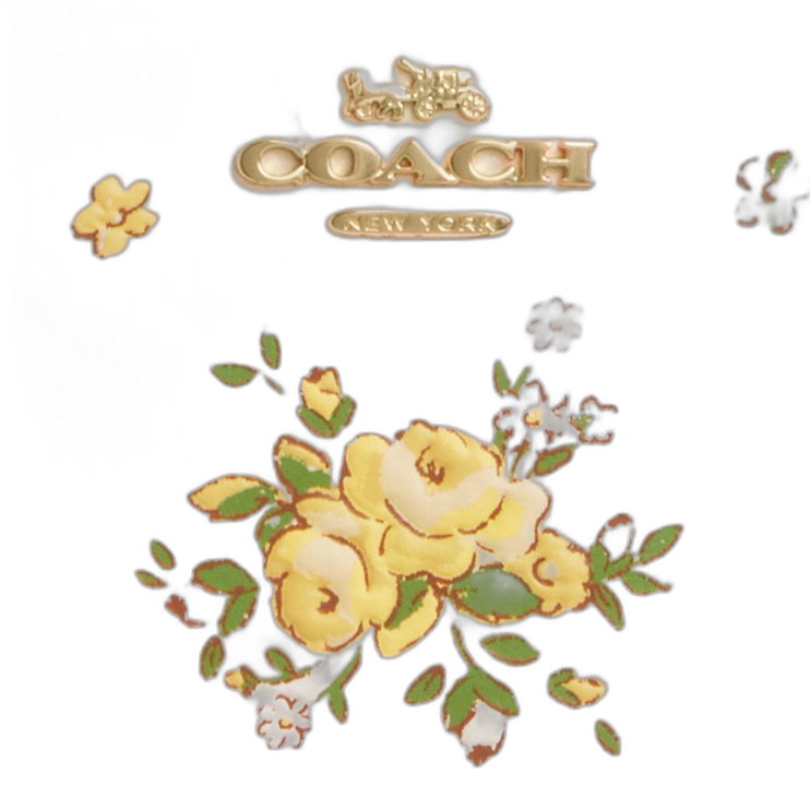 CAO89 IMCAH