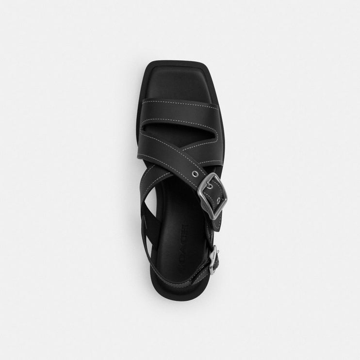CAS36 BLK