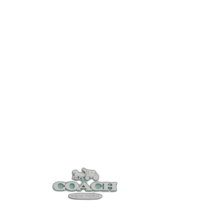CT768 SVVSW