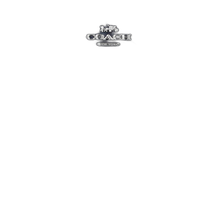 CAK29 SV/D9