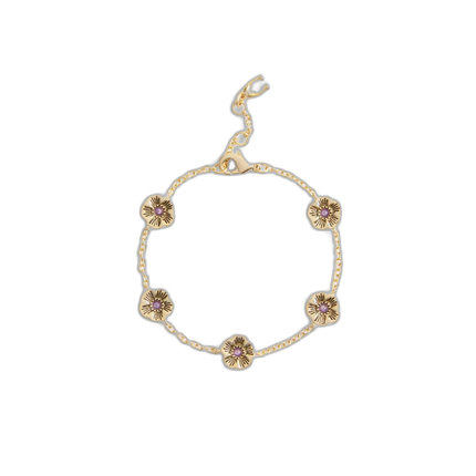 CBB46 GLD