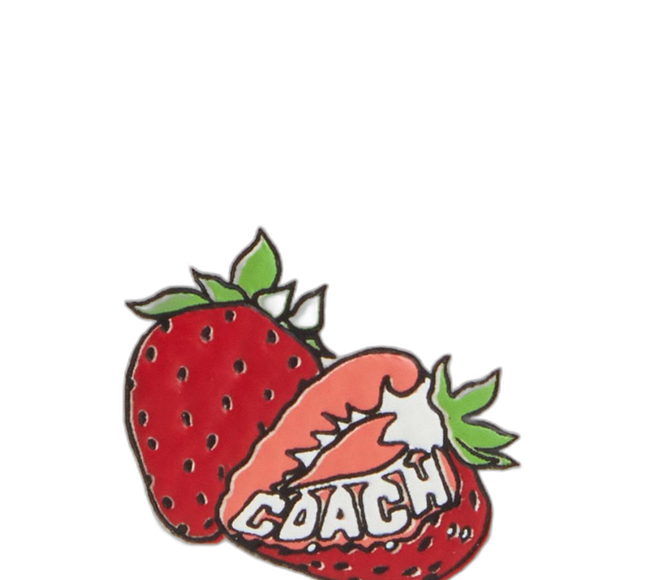 CAR33 IMCAH