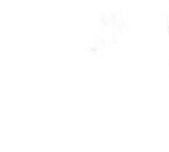 CAR19 QBNRX