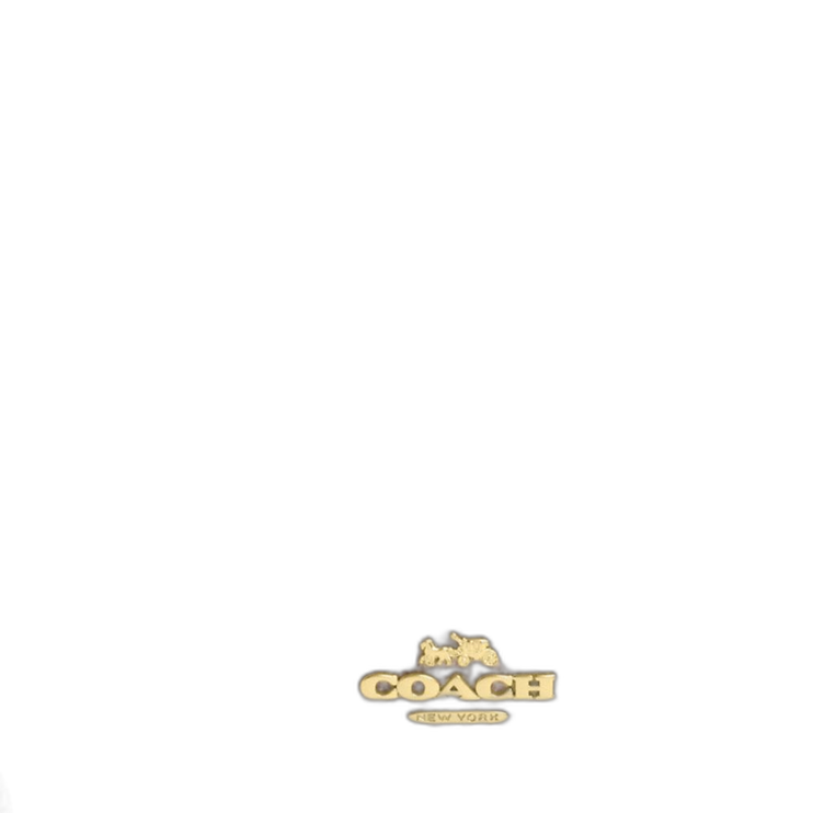 CX161 IMXDM