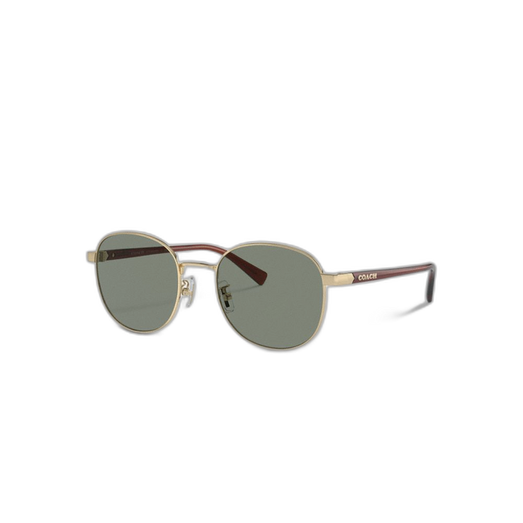 Coach Women's Metal Round Sunglasses Gold/Green