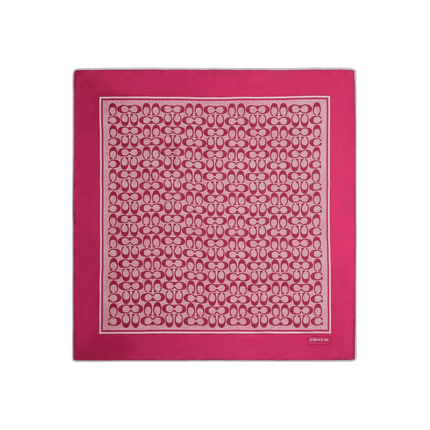 C2755 WYE