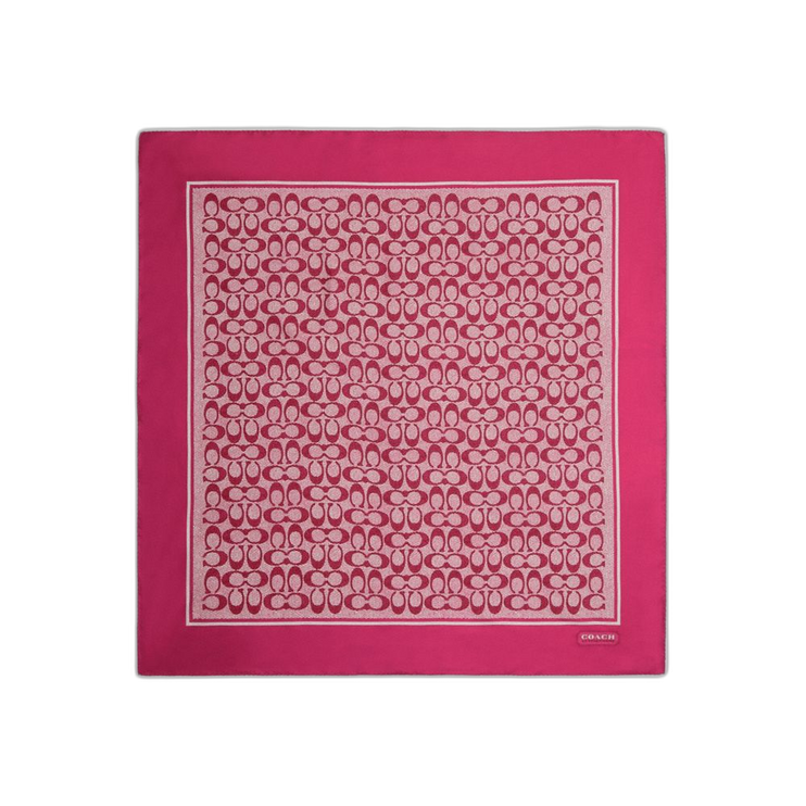 C2755 WYE