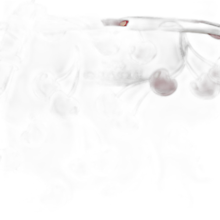 CZ189 SVCAH
