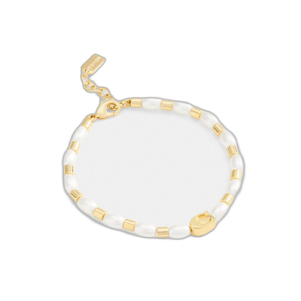 CBB29 VP4