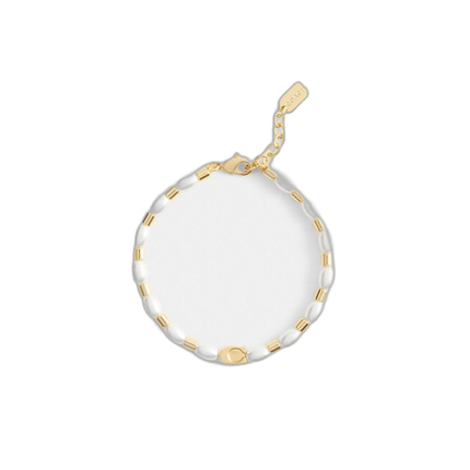 CBB29 VP4