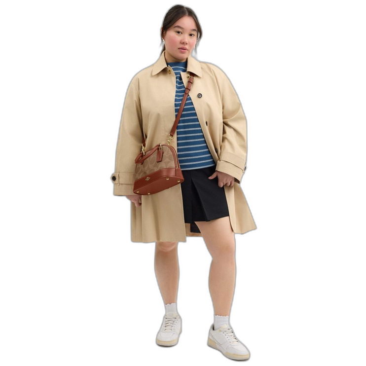 CAS19 IMXIS