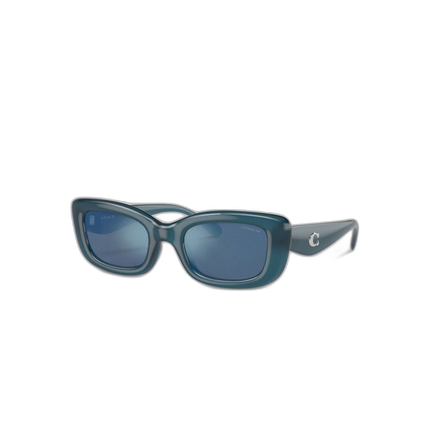 CR610 L5T