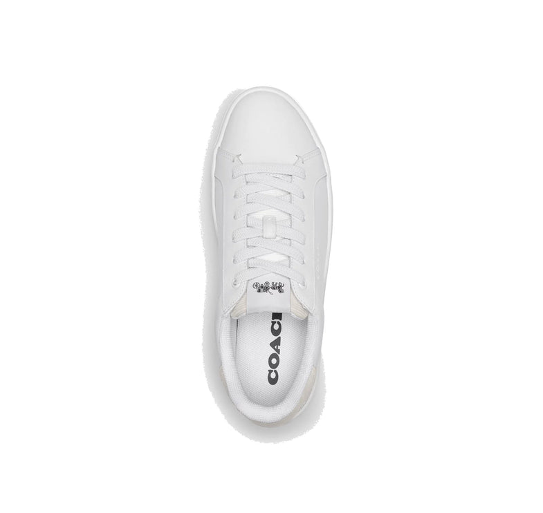 Coach Women's Clip Low Top Sneaker Optic White/Chalk