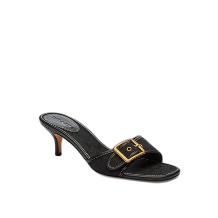 CAX17 BLK
