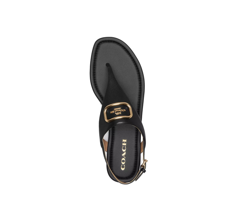 Coach Women's Jordin Sandal Black