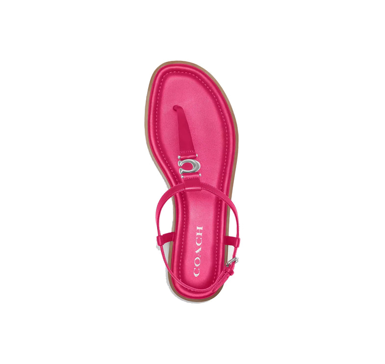 Coach Women's Jessica Sandal Dragon Fruit