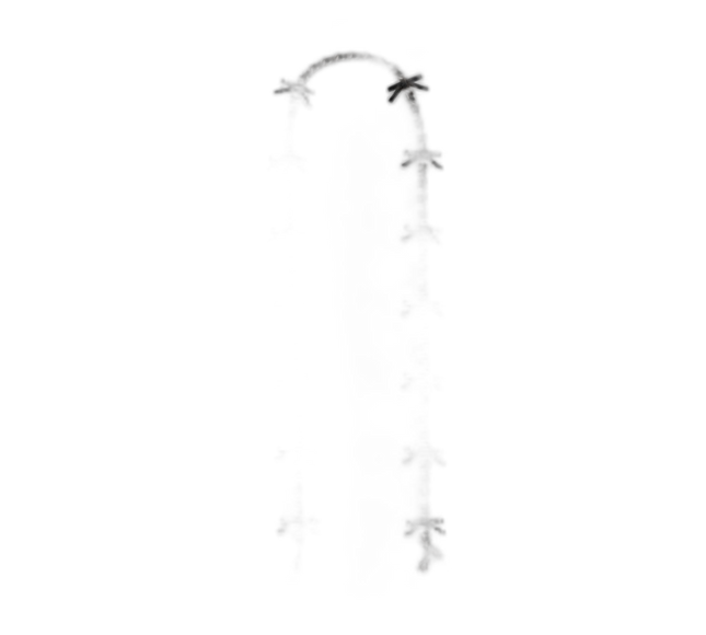 CY260 LHBLK