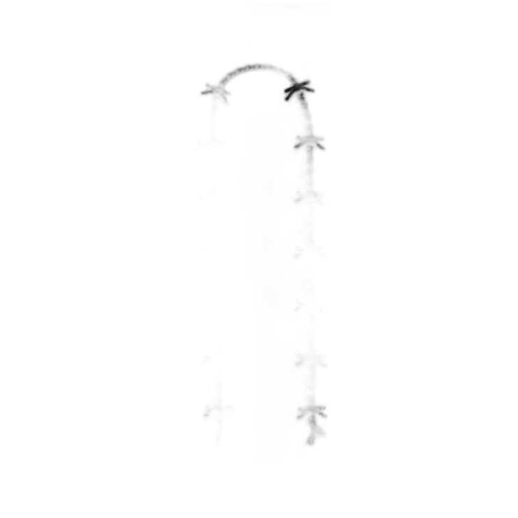 CY260 LHBLK