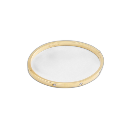 CT053 GLD