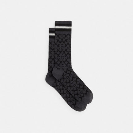 CBO15 CHR
