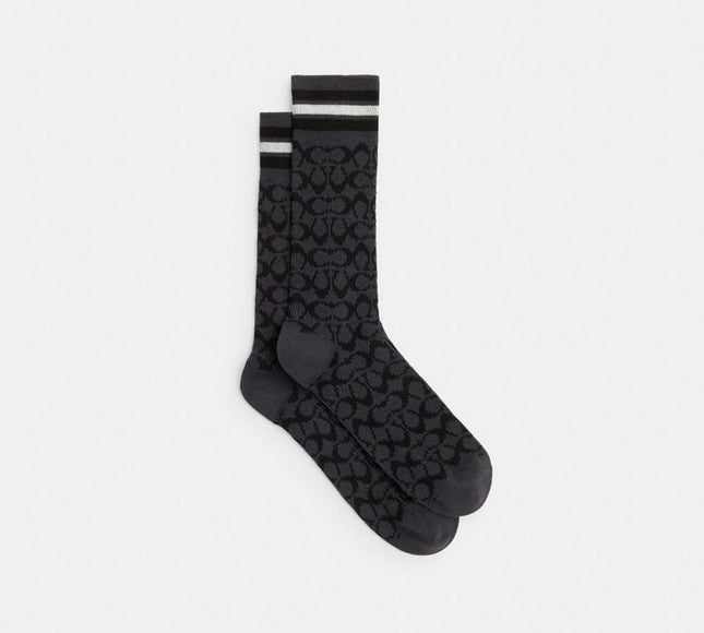 CBO15 CHR